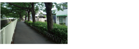 դŲš𳹡