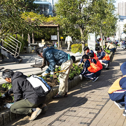 地域ボランティアへの参加