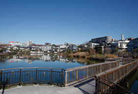 小池公園