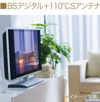 BSデジタル＋110°CSアンテナ