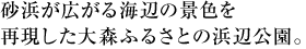 砂浜が広がる海辺の景色を再現した大森ふるさとの浜辺公園。
