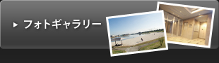フォトギャラリー