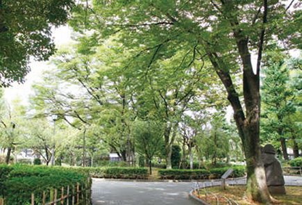 日々の暮らしを鮮やかに彩る四季折々の風景。