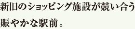 新旧のショッピング施設が競い合う賑やかな駅前。