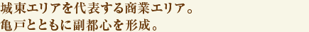 城東エリアを代表する商業エリア。亀戸とともに副都心を形成。