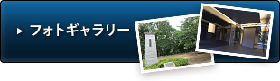 フォトギャラリー